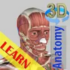 3D Bones and Organs Anatomy