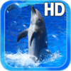 Animal Dolphin Live Wallpaper
