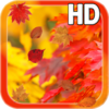 Autumn Leaves HD Free