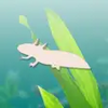 Axolotl Pet APK