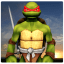 Ninja Turtle Warrior