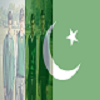 Pakistan Flag Face Photos 2016
