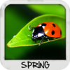 Spring Wallpapers