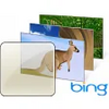 Best of Bing: Australia theme