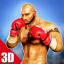 Boxing Star 3D
