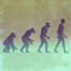 Human Evolution for Windows 10