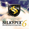 SILKYPIX DS PRO for Windows