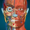 Anatomy Learning - 3D Atlas APK