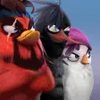 Angry Birds Evolution APK