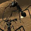Ant Simulation 3D Full APK