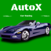 Auto X Car Racing