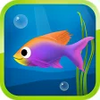 Best Hungry Fish APK