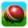 Cricket 3D APK