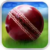 Cricket WorldCup Fever APK