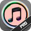 File Organizer for MP3 Musica