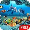 Fish Live Wallpaper 3D Aquarium Background HD :PRO APK