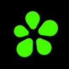 ICQ Video Calls Chat Messenger APK