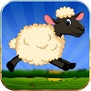 Lucky the sheep - Farm run