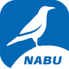 NABU Vogelwelt - Vögel Entdecken und Bestimmen APK
