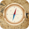 Pirate magnetic compass app