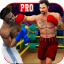 PRO Punch Boxing Champions 2018 Real Kick Boxers