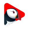 Puffin TV Player APK