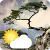 Realistic Weather All Seasons Live Wallpaper APK