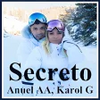 Secreto - Anuel AA Karol G new mp3 APK