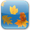 Falling Autumn Leaves ScreenSaver