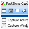 FastStone Capture Portable