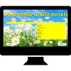 homeopathy to help parents