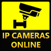IP Cameras Online