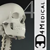 Essential Skeleton 4 Free Download