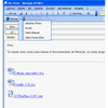 Minimail Virtual Attach
