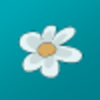 Pirates Love Daisies for Windows 8