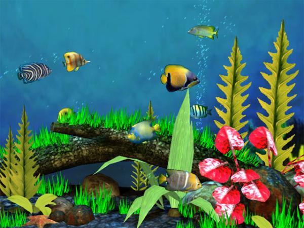Download Screensaver Aquarium 3d Gratis Image Num 25
