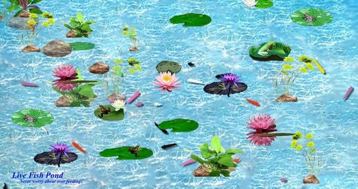 Interactive Fish Pond Game - Free Download