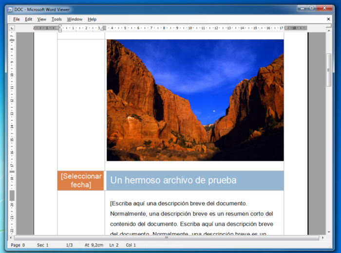 what is microsoft office word viewer 2007