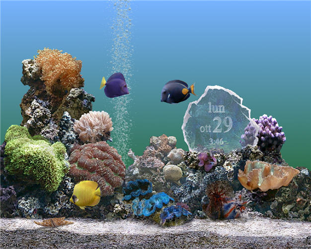 serenescreen marine aquarium 3 download
