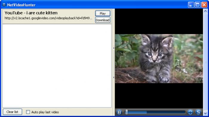 Netvideohunter for chrome