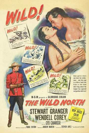 Poster of The Wild North