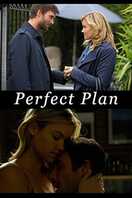 Poster of Perfect Plan