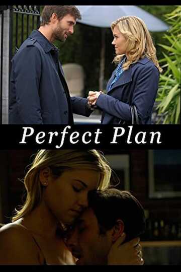 Poster of Perfect Plan