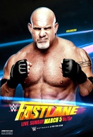 Poster of WWE Fastlane 2017