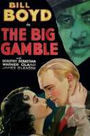 Poster of The Big Gamble