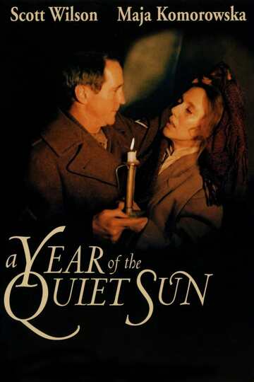Poster of A Year of the Quiet Sun
