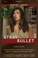 Poster of Stray Bullet