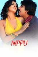 Poster of Nippu