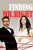 Poster of Finding Mr. Right