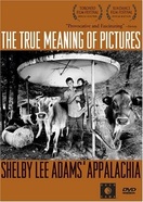 Poster of The True Meaning of Pictures: Shelby Lee Adams' Appalachia